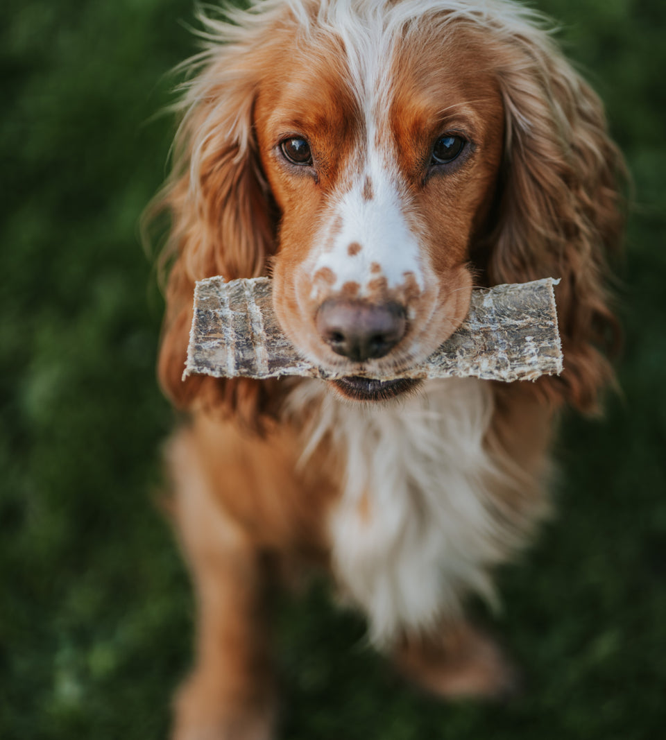 Anco Naturals Bully Biltong