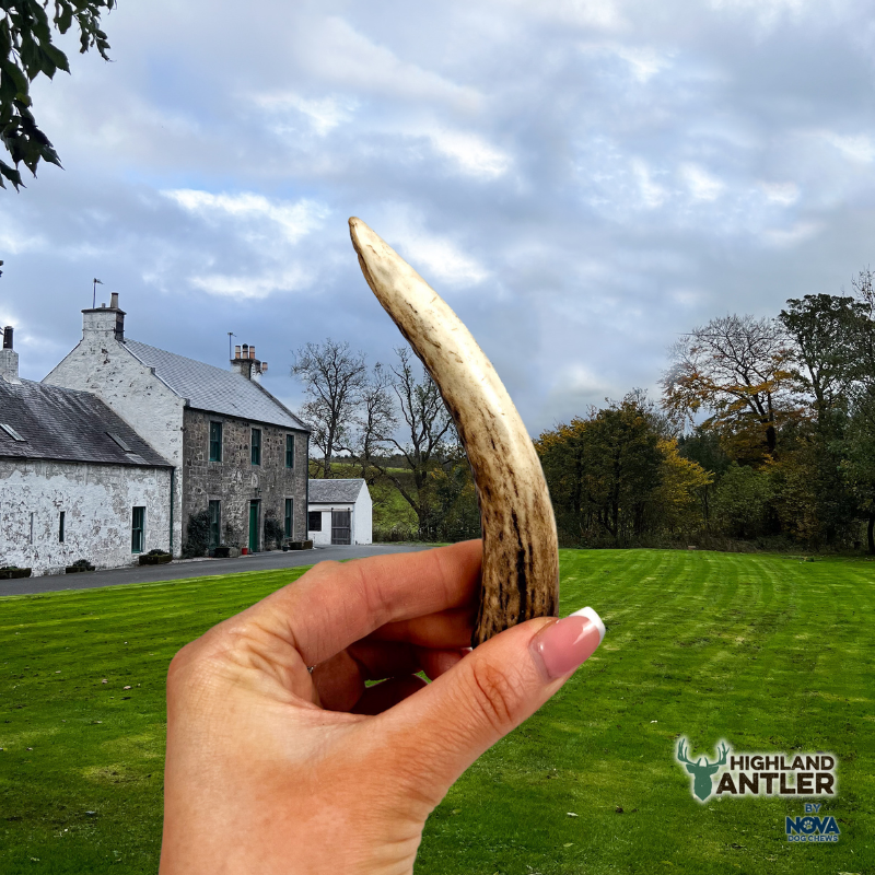 Antler Extra Small - Under 50g