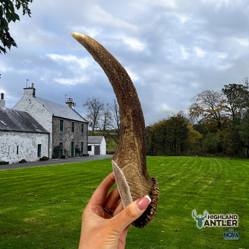 Antos Antler Jumbo 270g+