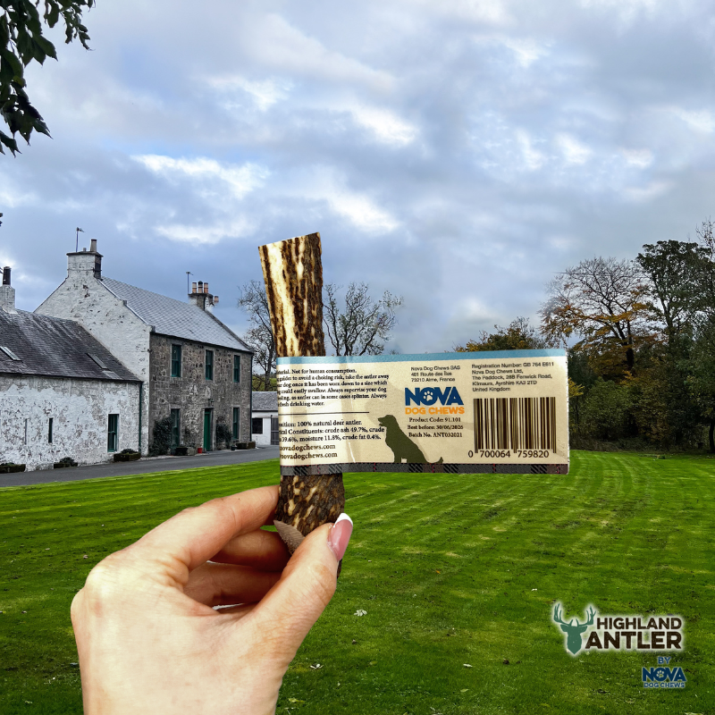 Antos Antler Split Small 30-50g