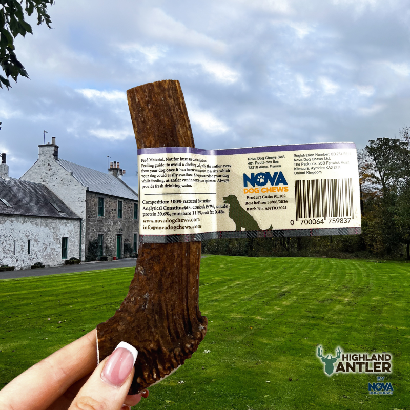 Antos Antler Split Medium 51-80g