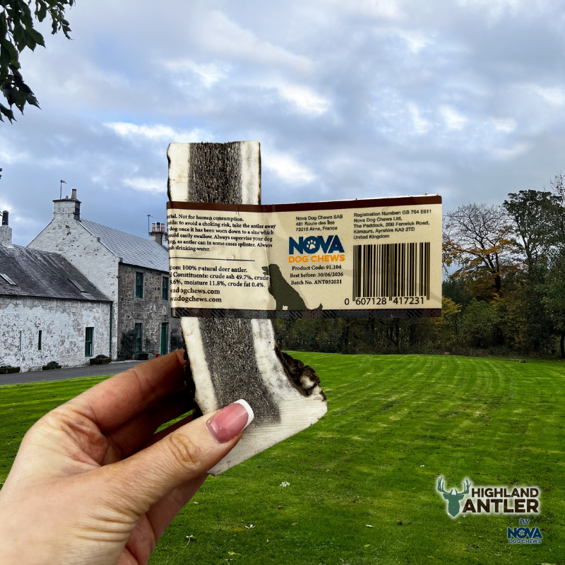 Antos Antler Split XL 120g+