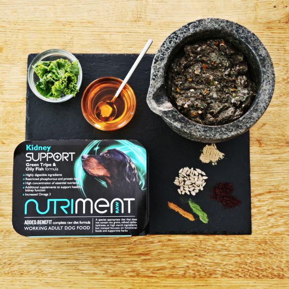 Nutriment Kidney Support 500g