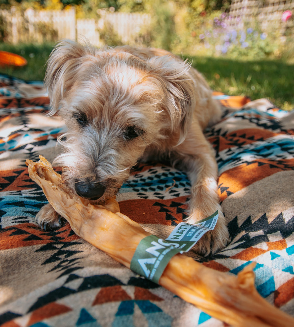 Anco Giant Rabbit Stick