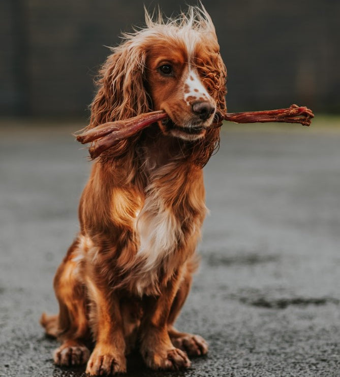 Anco Naturals Beef Tendons