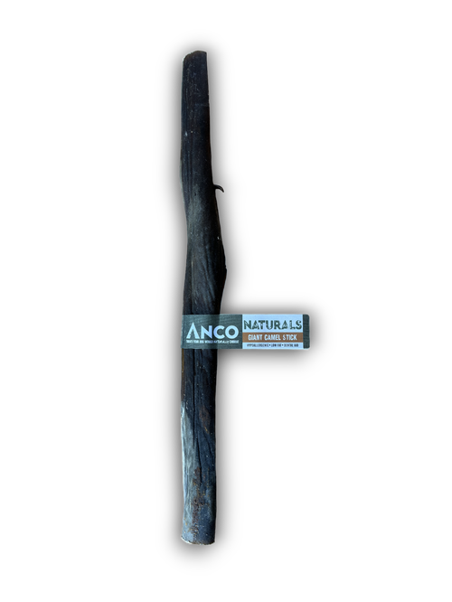 Anco Naturals Giant Camel Stick