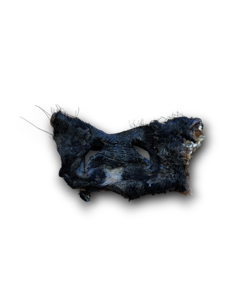 Anco Naturals Hairy Bully Snout