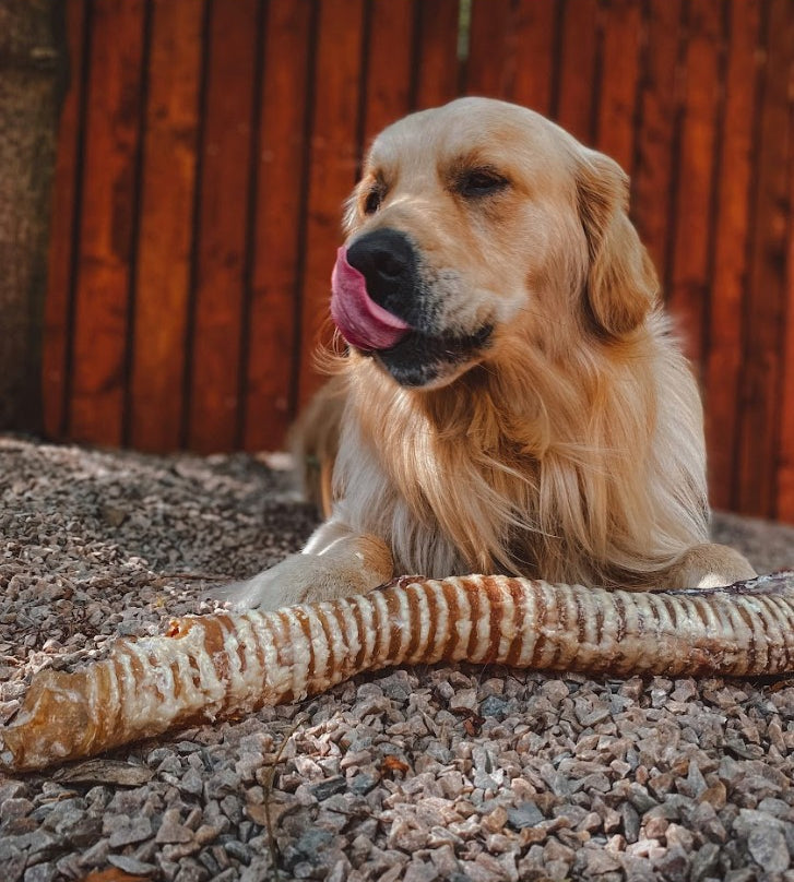 Anco Naturals Giant Bully Tube