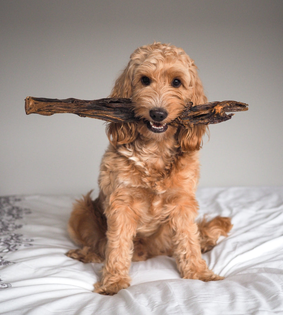 Anco Naturals Giant Lamb Jerky Stick