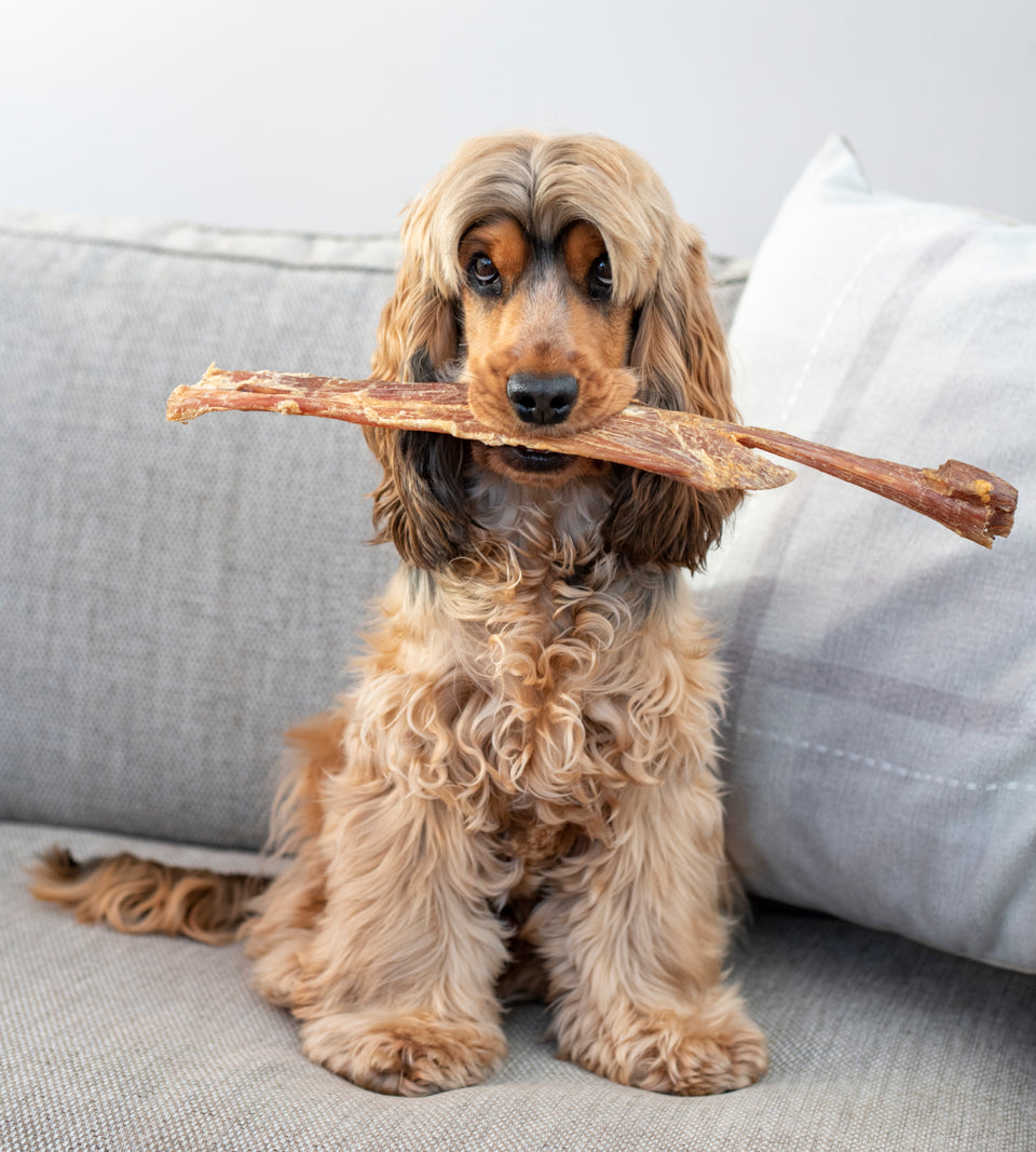 Anco Naturals Giant Paddywack Stick