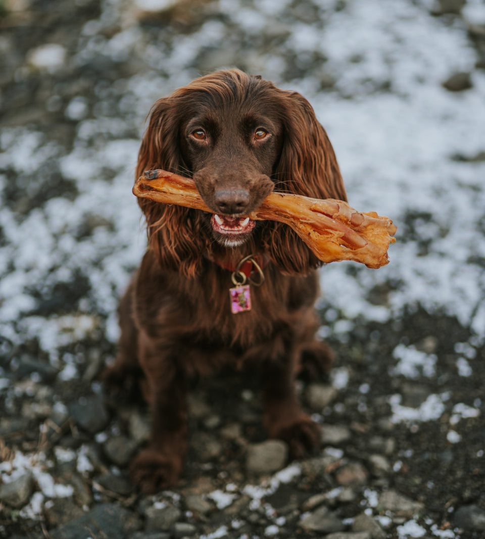 Anco Naturals Beef Tendon with Bone