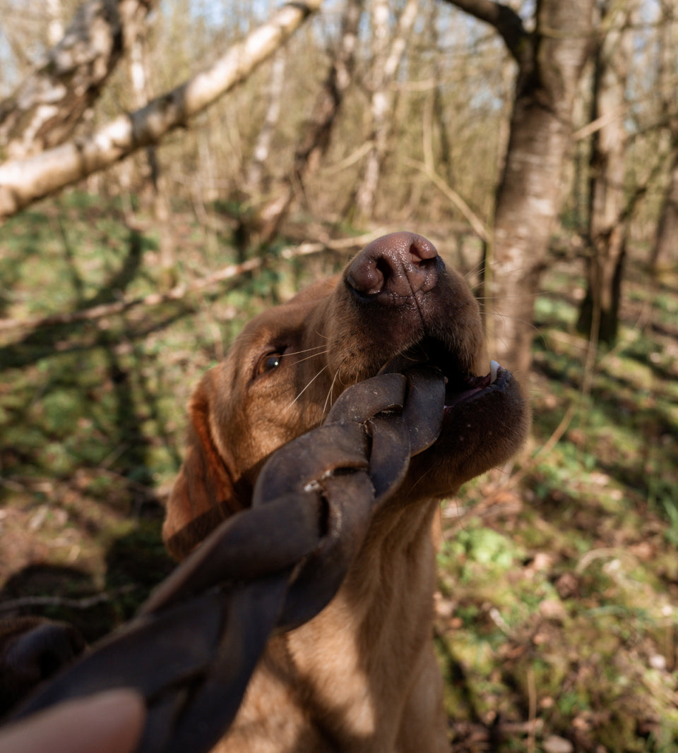 Anco Naturals Camel Braid - Large