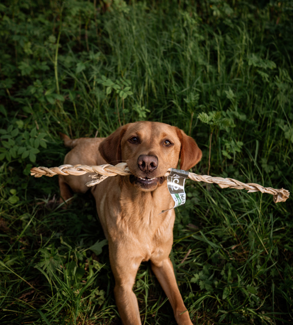 Anco Giant Lamb Braid