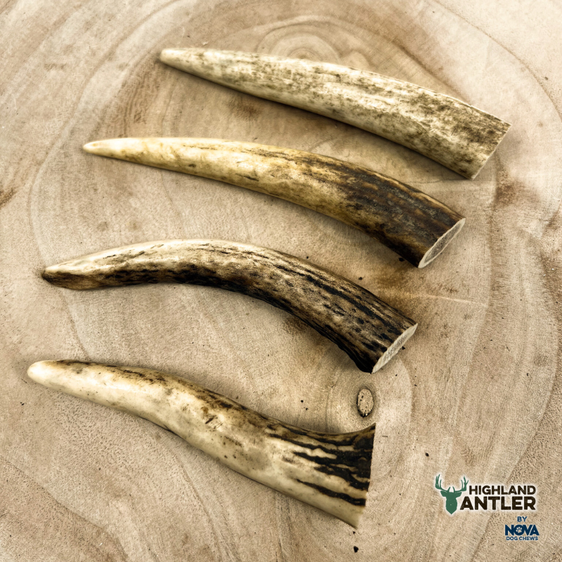 Antler Extra Small - Under 50g