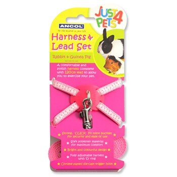Ancol Rabbit Harness Set Pink