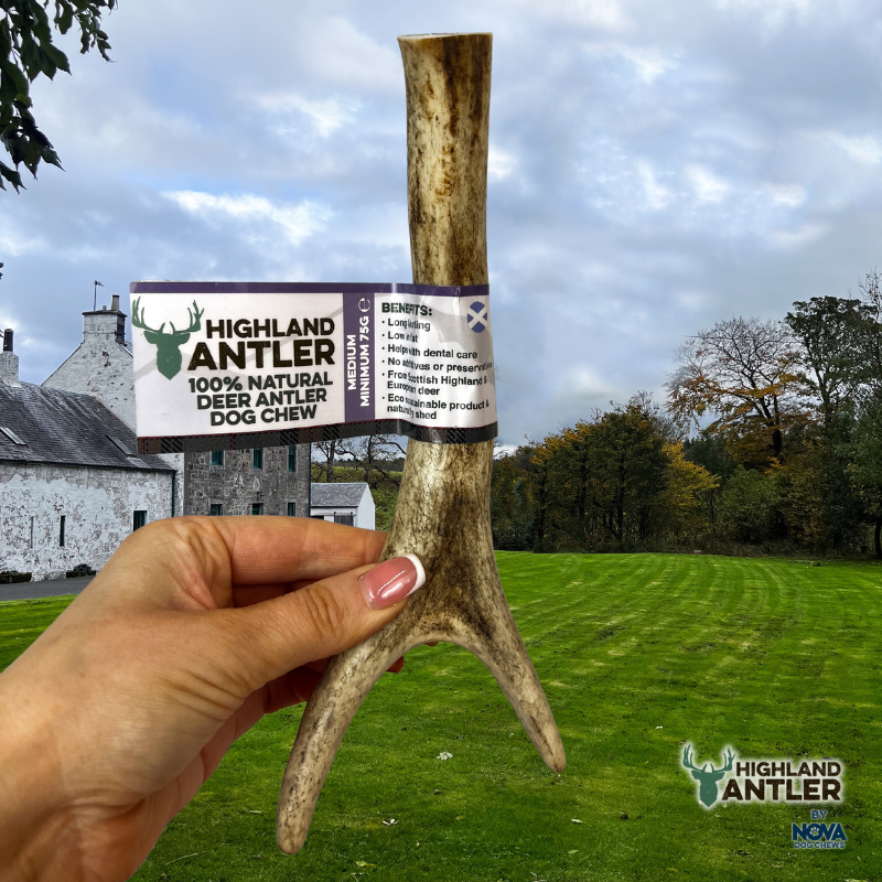 Antos Antler Medium 76-150g
