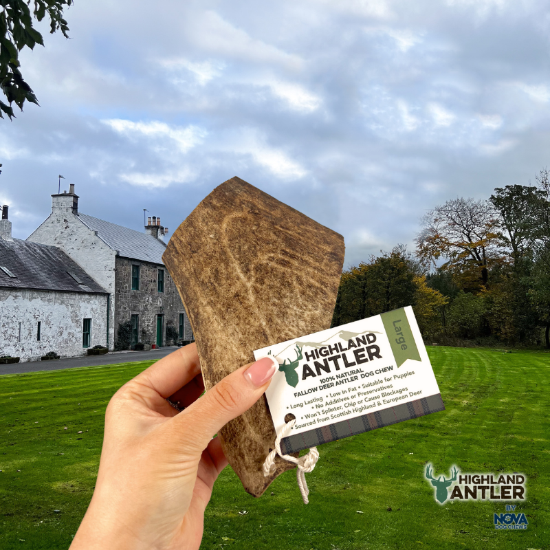 Antos Fallow Antler Large 150-220g