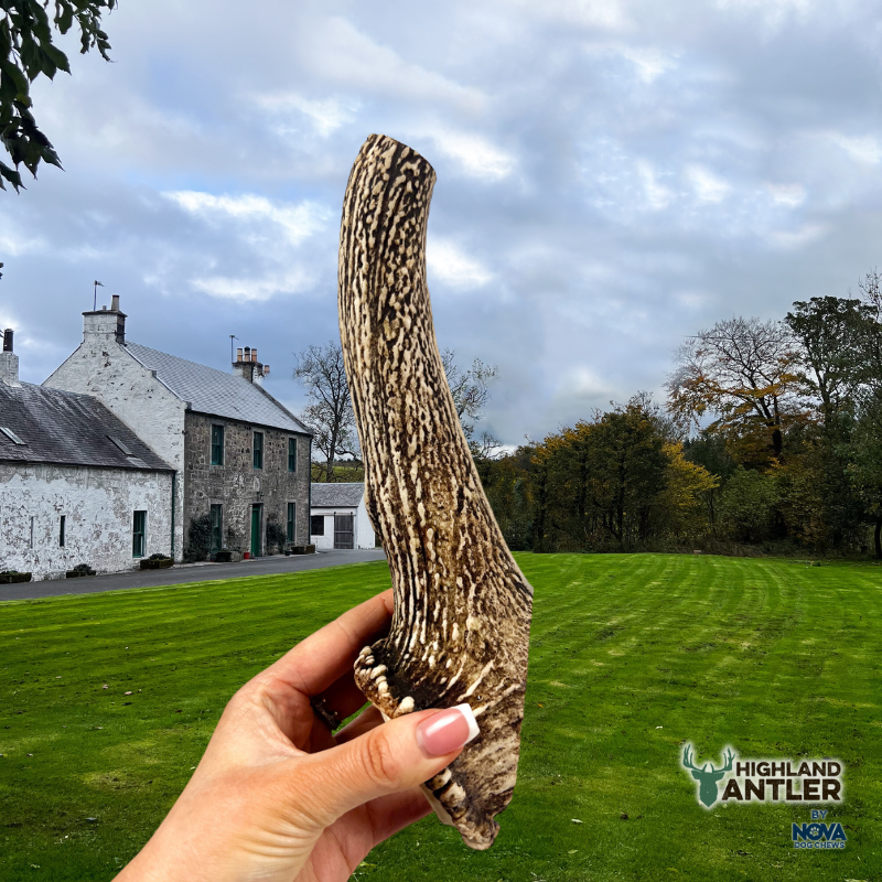 Antos Antler Jumbo 270g+