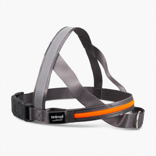 Animal Instincts Flashing Safety USB Full Shine Nylon Harness Grey/Orange L 90cm