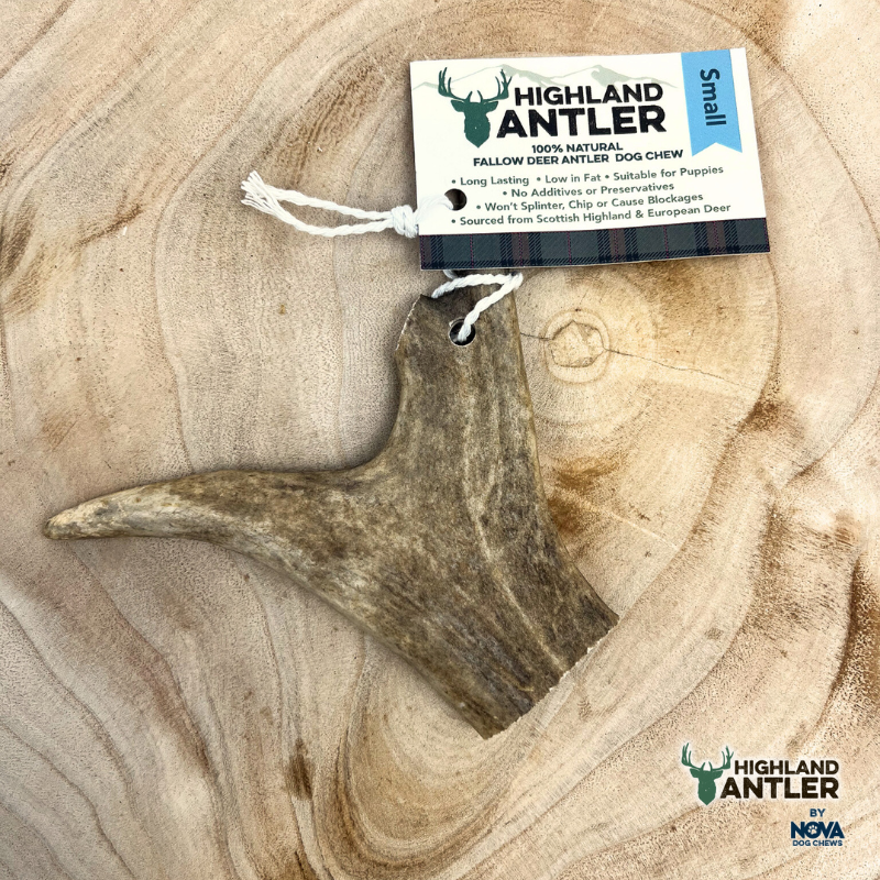 Antos Antler Fallow Small Under 75g