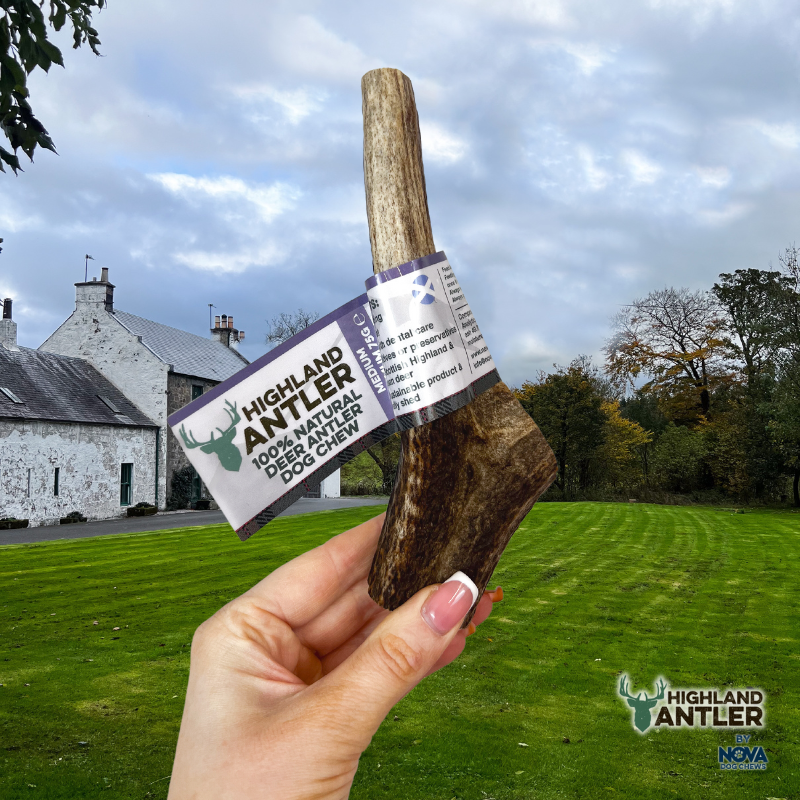 Antos Antler Medium 76-150g