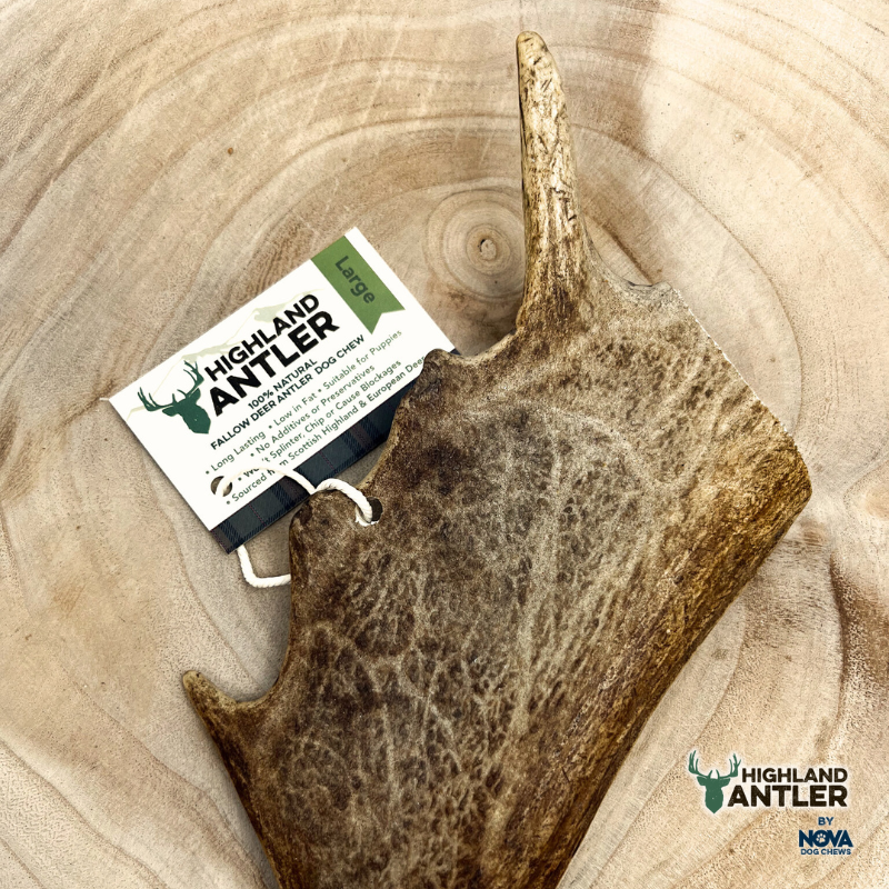 Antos Fallow Antler Large 150-220g