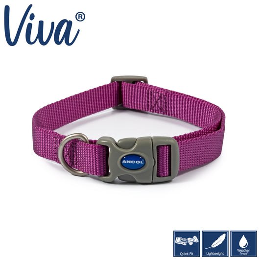 Ancol Viva Adjustable Collar Purple 20-30cm Size 1-2