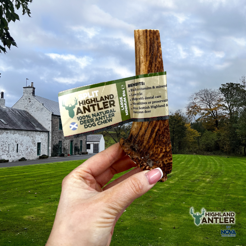 Antos Antler Split Large 81-120g