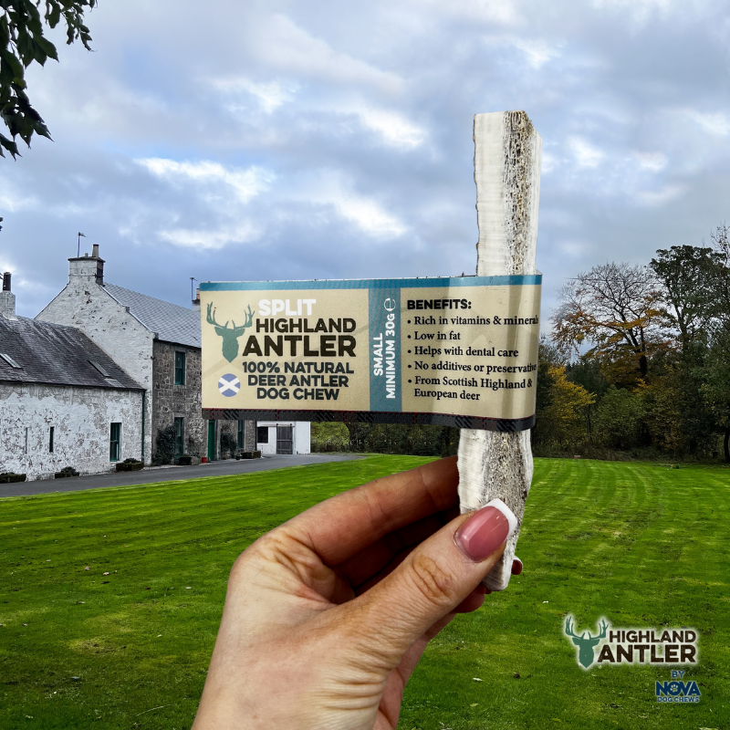 Antos Antler Split Small 30-50g
