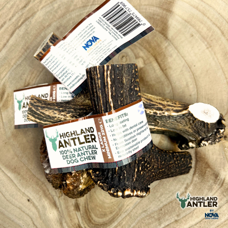 Antos Antler Extra Large 220g – 270g