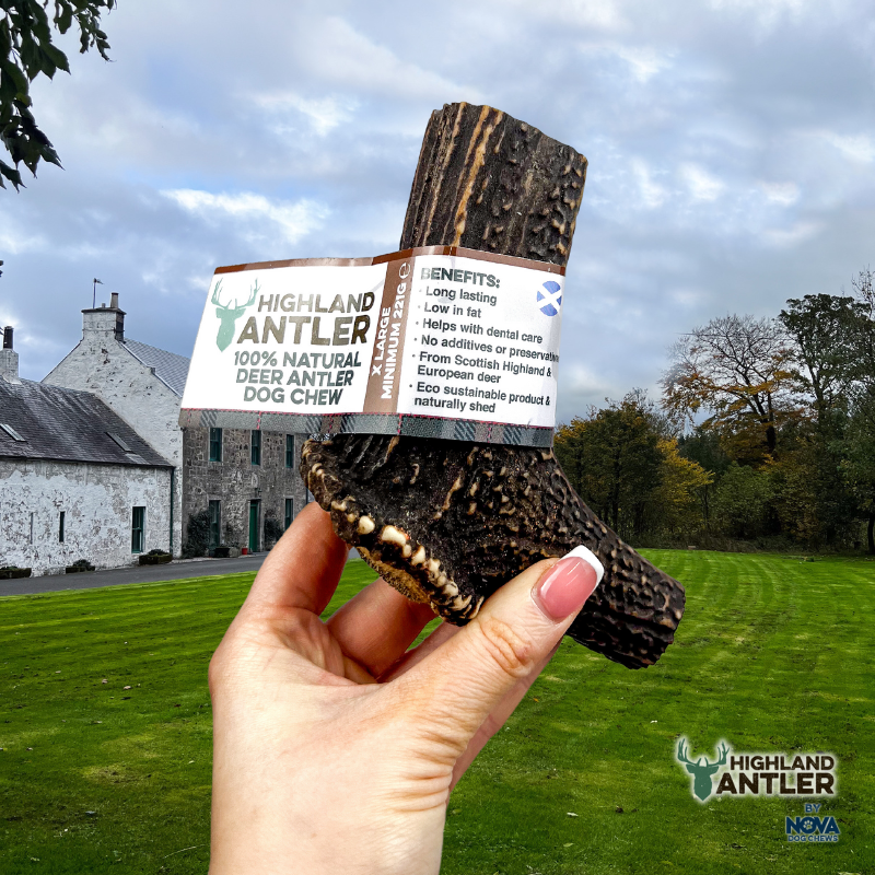 Antos Antler Extra Large 220g – 270g