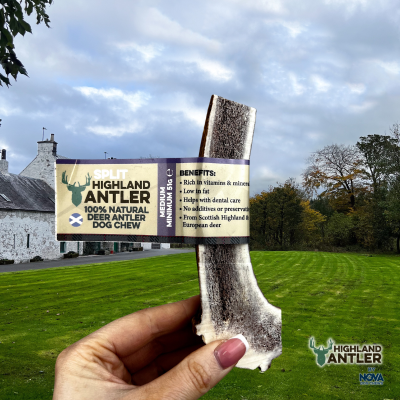 Antos Antler Split Medium 51-80g