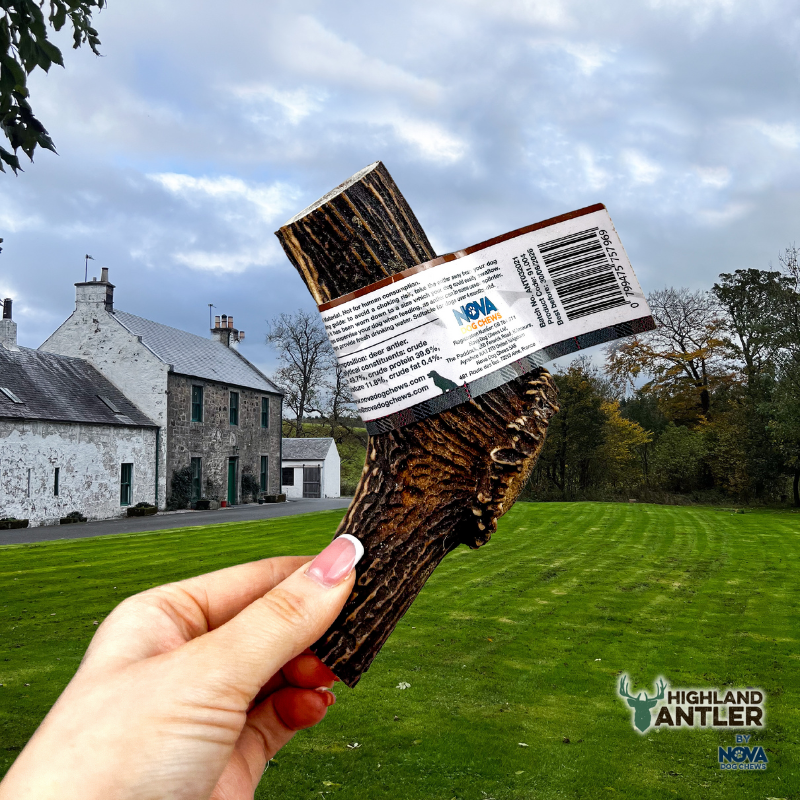 Antos Antler Extra Large 220g – 270g