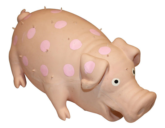 Mad About Pets Latex Pig (Various Designs)