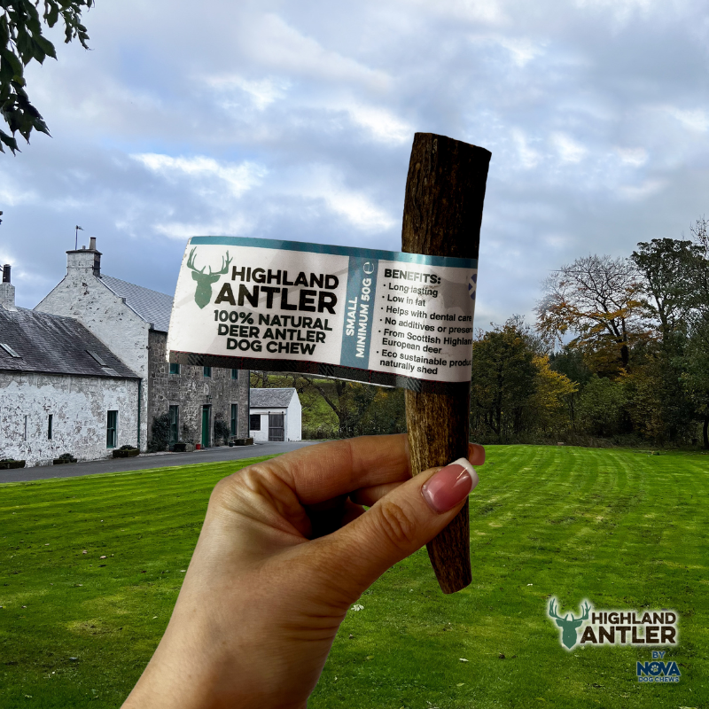 Antos Antler Small 50-75g