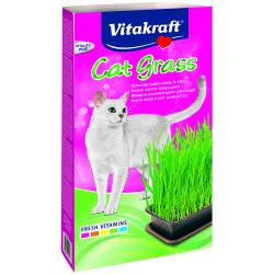 Vitakraft Cat Grass 120g