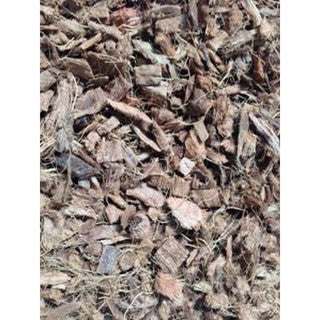 REPTILE COCO BEEDING