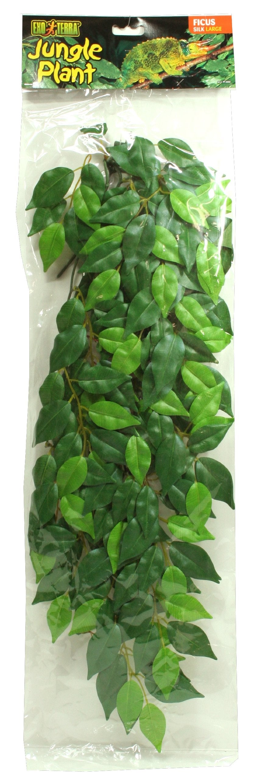 Exo Silk Ficus Plant