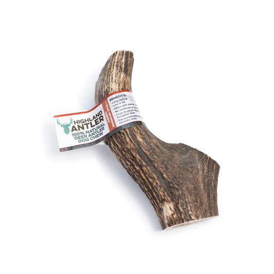 Antos Antler Jumbo 270g+