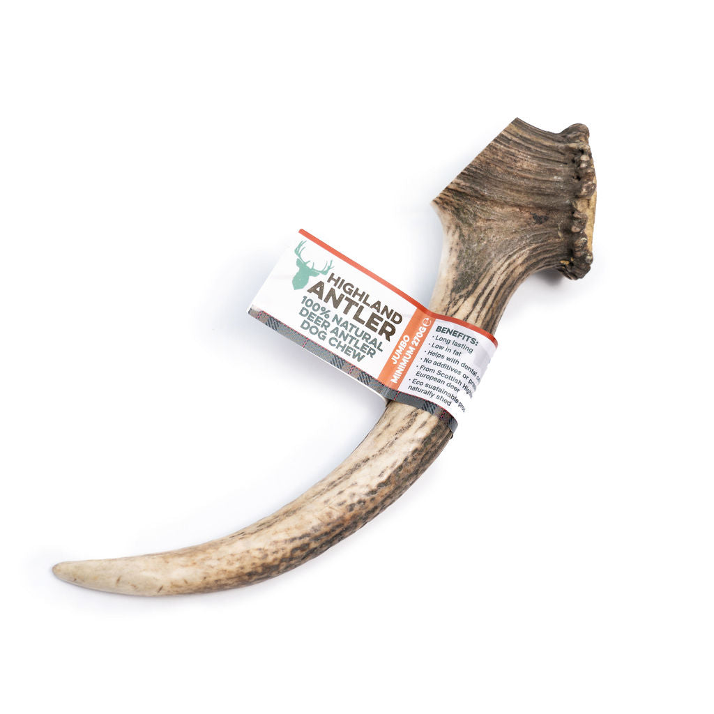 Antos Antler Jumbo 270g+