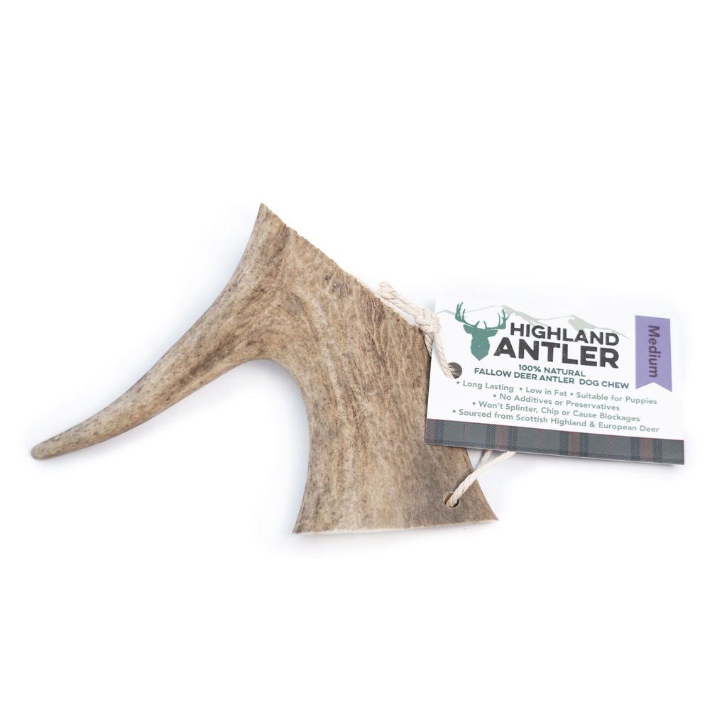 Antos Fallow Antler Medium 75 -150g
