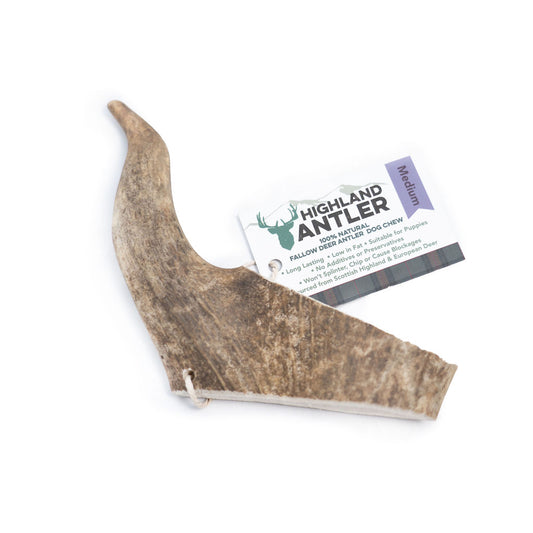 Antos Fallow Antler Medium 75 -150g