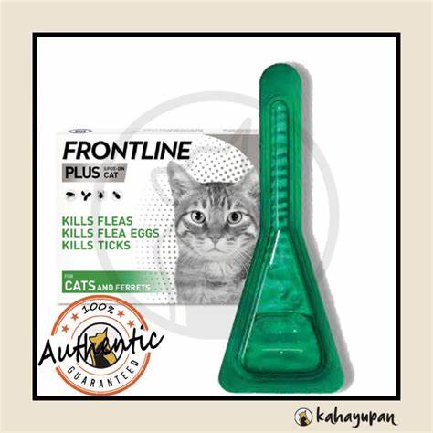 Frontline Plus Cat - 1 Pipette