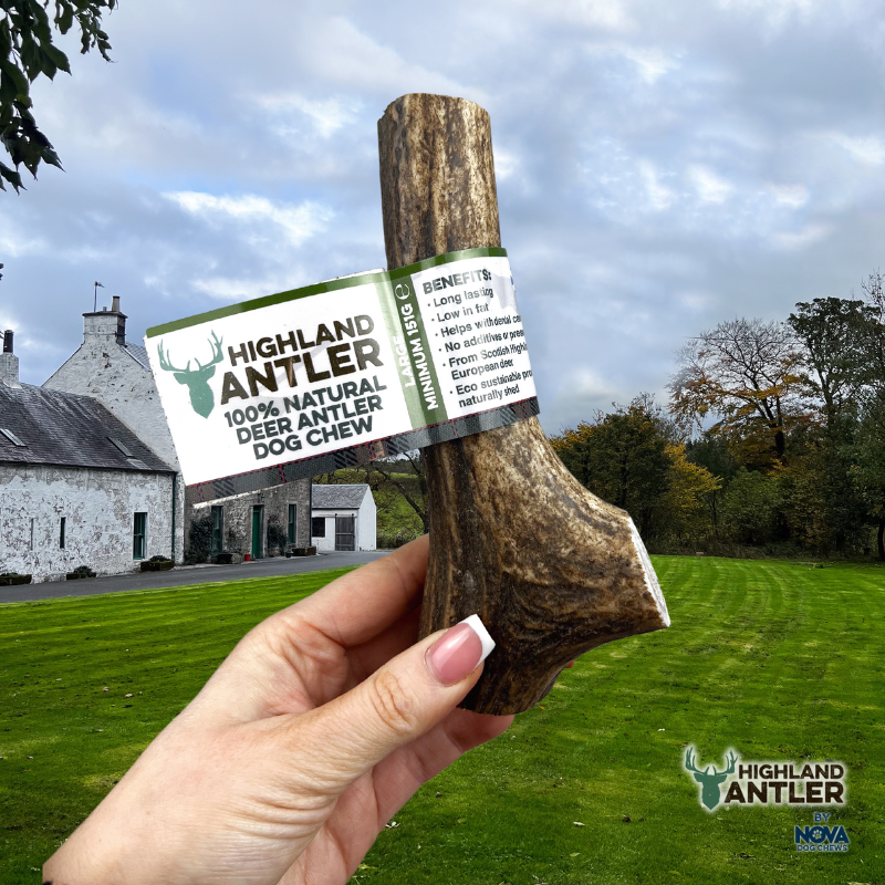 Antos Antler Large 151-225g