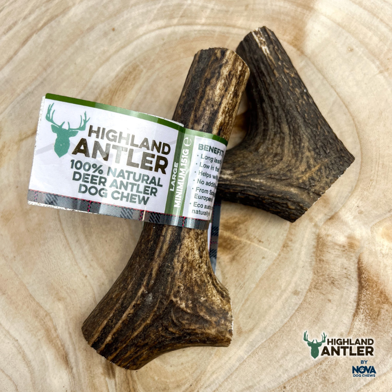 Antos Antler Large 151-225g