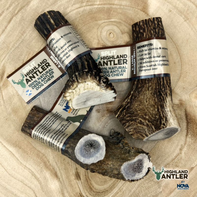 Antos Antler Split XL 120g+