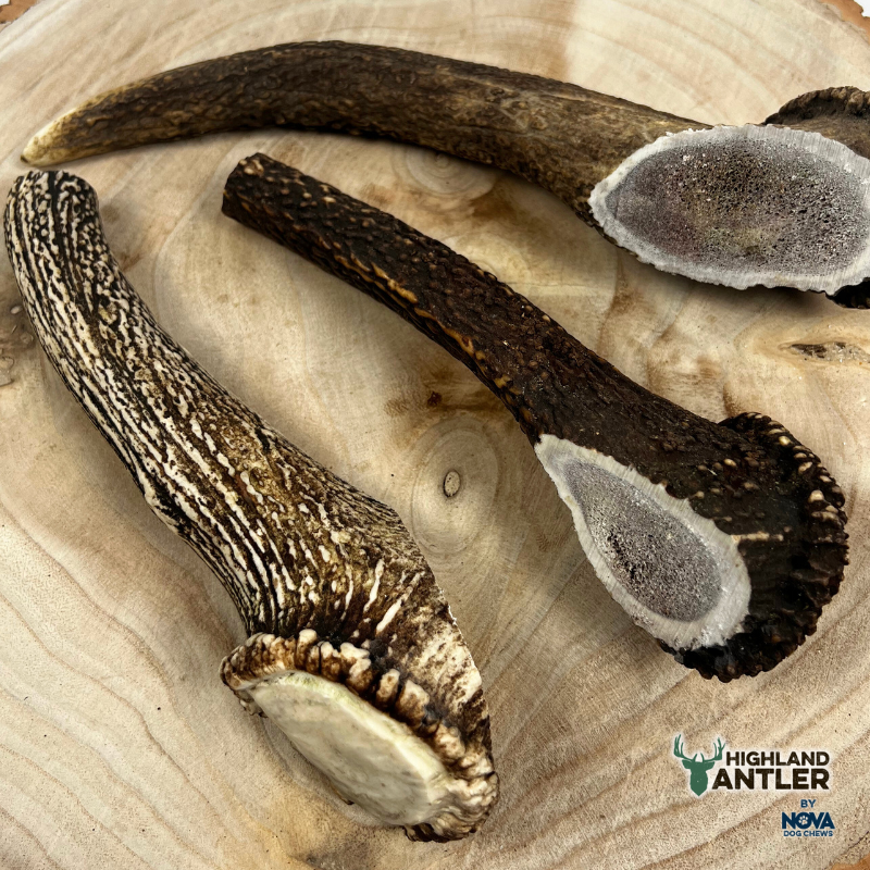 Antos Antler Jumbo 270g+