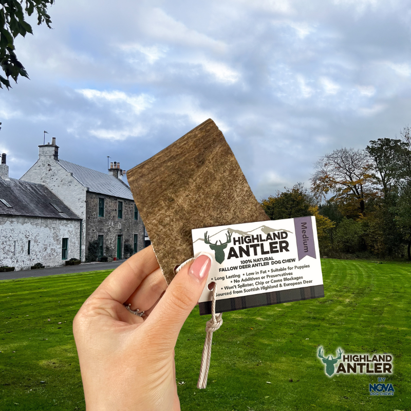 Antos Fallow Antler Medium 75 -150g