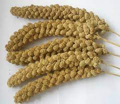 Millet Sprays - Weighed