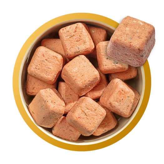 Natures Menu Nuggets - 80% Puppy Chicken & Salmon 1kg